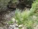 DSC00390.JPG