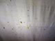 DSC00410.JPG