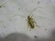 DSC00421.JPG