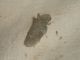DSC00429.JPG