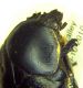 DSCN7723_1329.JPG