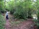 DSCN7800_1406.JPG