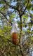 DSCN8044_1648.JPG