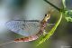 DSC_5649pbase.jpg