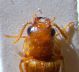 DSCN4032.JPG