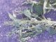 DSCN1612.JPG