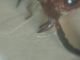 DSCN8884.JPG