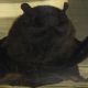 DSCN1299.JPG