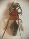 DSCN8905.JPG