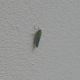 DSCN1241.JPG