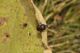 Campo_Felice_26-IX-2011_CN064.JPG