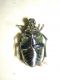 DSCN4628.JPG