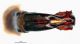 Protaetia sp._genital_dorsal from Turkey.jpg
