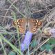 DSCN1464.JPG