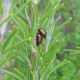 DSCN1219.JPG