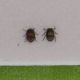 DSCN1439.JPG