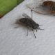 DSCN1341.JPG