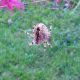 DSCN1494.JPG