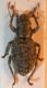 DSCN9168.JPG