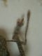 DSCN9177.JPG