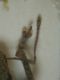 DSCN9178.JPG