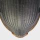 Calathus_Maccarese_9-X-2011_10,5mm_elitre.jpg