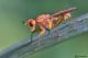 DSC_8608pbase.jpg