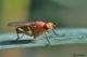 DSC_8613pbase.jpg