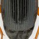 Cymindis_Campo_Imperatore_17-X-2011_11,5mm_part.jpg