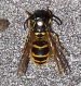 DSCN1738.JPG