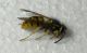 DSCN1705 - Copia.JPG