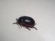 DSC01384.JPG