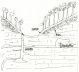 scansione0001.jpg