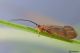 DSC_9563pbase.jpg