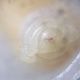 DSCN5838.JPG