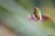 DSC_9639pbase.jpg
