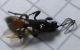 DSCN2116 - Copia.JPG