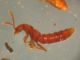 DSCN9358.JPG