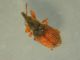 DSCN9361.JPG