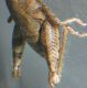 DSCN2328 - Copia.JPG