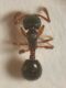 DSCN9373.JPG