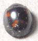 DSCN2467a.jpg