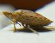 DSCN2585 - Copia.JPG