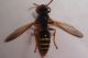 DSC01648.JPG