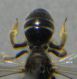 DSCN2849 - Copia.JPG