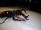 DSC01698.JPG