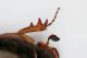 Prova_Lietz_6x_flash_anulare_schermato_2.jpg
