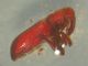 DSCN9506.JPG