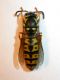 DSCN9508.JPG