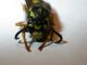 DSCN9509.JPG